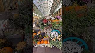 Autumn in Covent Garden London 2024 octoberinlondon [upl. by Vaenfila]