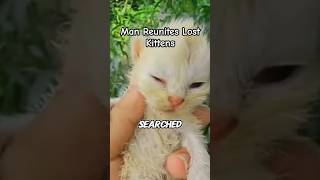 Rescuing Lost Kittens  Pet Animals [upl. by Areema]