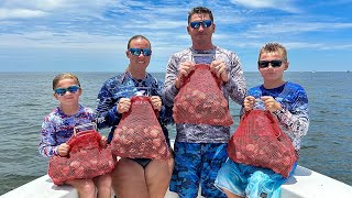 Florida bay scallops Catch Clean Cook [upl. by Orfield]