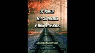 quotMESNEVİ ŞERHİ  TAHİR ÜL MEVLEVİquot [upl. by Millman500]