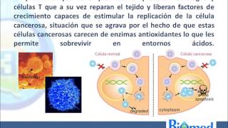 Ozonoterapia en el tratamiento para el Cáncer [upl. by Orabelle246]