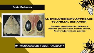 An Evolutionary Approach to Animal Behavior II Proximate and Ultimate Causes [upl. by Fiester997]