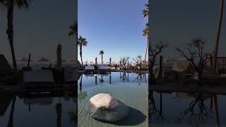 You Wont Believe This Luxury Oasis in Los Cabos loscabos mexico luxuryresort [upl. by Haskel775]