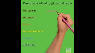 Drugs metabolized by glucuronidation neetpreparation neetpg pharmacy pharmacology [upl. by Cornwall]