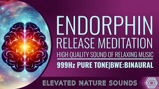 999 Hz Endorphin Release Meditation Binaural [upl. by Maitilde]