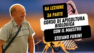 19  CORSO DI APICOLTURA BIOLOGICA  Asphodel Honey  con il maestro Stefano Furini Lezione 6 Parte3 [upl. by Aillimat]