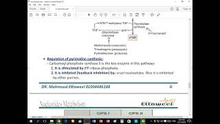 Pyrimidine Metabolism [upl. by Pennie719]