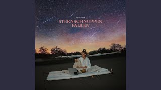 Sternschnuppen fallen [upl. by Shiff332]