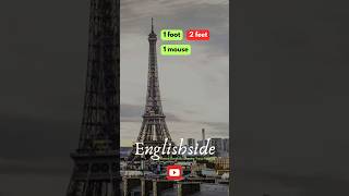 Learn Irregular Nouns in 1 Minute IrregularNouns LearnEnglish GrammarTips english [upl. by Halyahs]