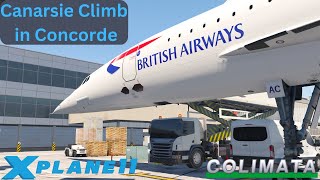 XPlane 11  Colimata Concorde V2  Canarsie Climb [upl. by Felton160]