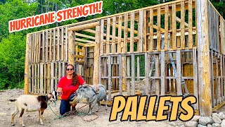 DIY Pallet BarnShed Build In 10 minutes Timelapse [upl. by Jobyna]