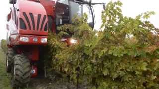 Bargam Grape and Olive Harvester VTrack TRS 30  Vendemmiatrice Bargam [upl. by Ilrebmyk566]