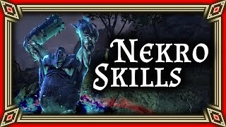 DER NEKROMANT UND SEINE SKILLS  Necromancer  ESO News von AZ – The Elder Scrolls Online [upl. by Ennaerb229]