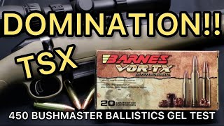 EPIC AMMO 450 Bushmaster Barnes VORTX 250gr TSX Ammo Test [upl. by Neesay875]