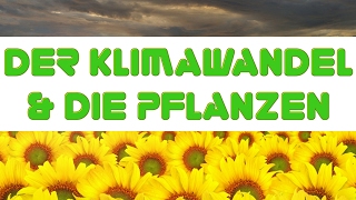 Klimawandel folgen für Pflanzen amp Gärtner [upl. by Sukramed]