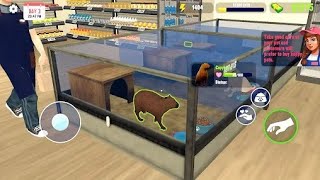 Pet Paradise Shop Simulator Gameplay Walkthrough Android iOS [upl. by Cochran]