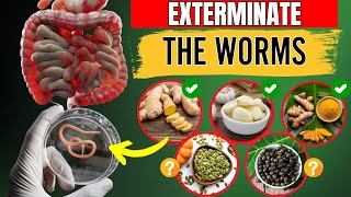 EXTERMINATE The Worms  14 Foods That Destroy Intestinal Parasites NOT WHAT YOU THINK [upl. by Solis]