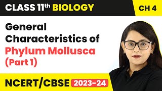 General Characteristics of Phylum Mollusca Part 1  Class 11 Biology Chapter 4  NCERTCBSE [upl. by Anibur]