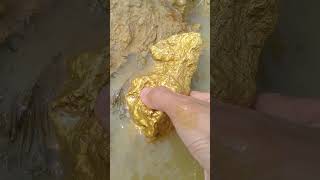 wow looking for gold in the forest goldhunter golddiscovery [upl. by Maxia]