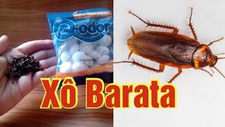 🛑 Como ESPANTAR as BARATAS  Naftalina e cravo [upl. by Eltsryk]