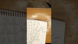 Bamboo land scenery drawing art learncreative painting creativelearning creativekids [upl. by Ahtiekal]