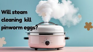 Will Steam Cleaning Kill Pinworm Eggs [upl. by Delogu]