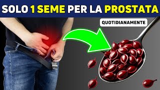 Solo 1 Seme per Ridurre una Prostata Ingrandita [upl. by Assen]