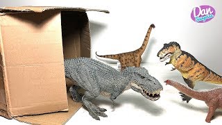 A New Box of Dinosaur Figures Tyrannosaurus Rex Brontosaurus Argentinosaurus [upl. by Enyamart]