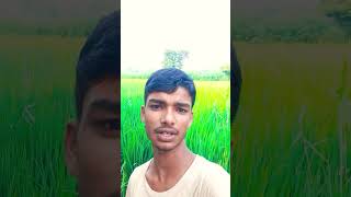 Kone nagariya banana baha haradiy tora lago ho ge shortsfeed viral trundling youtubeshorts [upl. by Weigle340]