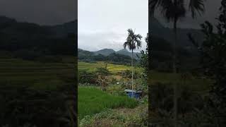 ifugao song hapit di boble [upl. by Almeta]