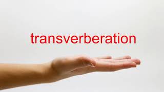 How to Pronounce transverberation  American English [upl. by Nede]