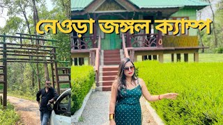 Neora Jungle Camp Resort  Offbeat Dooars Tour  Govt Forest Bunglow Stay  Gorumara Forest [upl. by Giule]