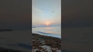 Estepona sunrise song music shorts youtubeshorts [upl. by Maddock]