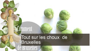 Tout sur les choux de Bruxelles [upl. by Imoyn]