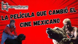 AMORES PERROS La película que cambió el cine Mexicano [upl. by Anwahsed753]