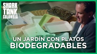 Un jardín con platos biodegradables  Shark Tank Colombia [upl. by Panter]