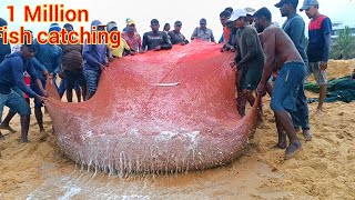 woow  😱😱 million 5k of catching fish  Unbelievable fishing video fishnegombo [upl. by Kciremed]