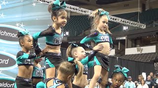 Cheer Extreme Raleigh Tiny Turtles 2015 Showcase [upl. by Negem589]