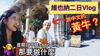 維也納二日遊Vlog💕我居然買了黃牛票？星期日不能shopping？還能做啥？＃趙小僑女人說💋 [upl. by Giralda]