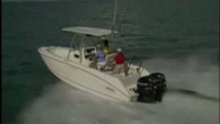 Boston Whaler 240 Outrage [upl. by Yttik177]