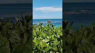 Sorrento Ocean beach australia travel [upl. by Asiluj688]