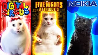 Meme Cats Different Universes [upl. by Alekat]