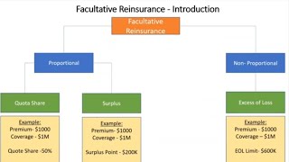 Facultative Reinsurance [upl. by Anma887]