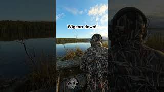 Duck hunting wigeon down fyp viralvideo shorts subscribe duck hunting duckhunting [upl. by Izaak55]