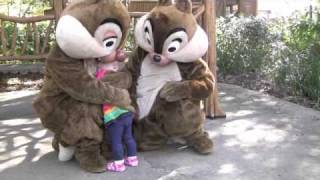 Chip and Dale [upl. by Edythe259]