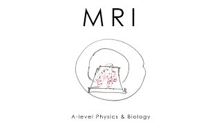 MRI Scanning  Alevel Physics amp Biology [upl. by Leirad]