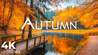 Enchanting Autumn Forests with Beautiful Piano Music🍁4K Autumn Ambience amp Fall Foliage 20 [upl. by Rednaxela285]