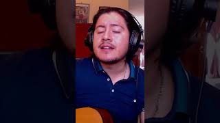 Mario Valdizón  Volcán José José Cover [upl. by Izawa]