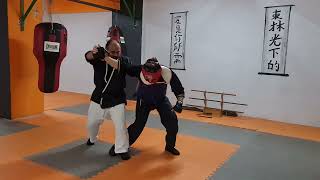 budomethodaikijutsu combataikijutsukai aikijutsu arakikenpo profdr combatbujutsu keşfetkavga [upl. by Nylazor]