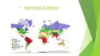 Zoogeographical Regions Zoology LCWUlife Sciences with Mehwish Khan BS 4 years [upl. by Ralston911]